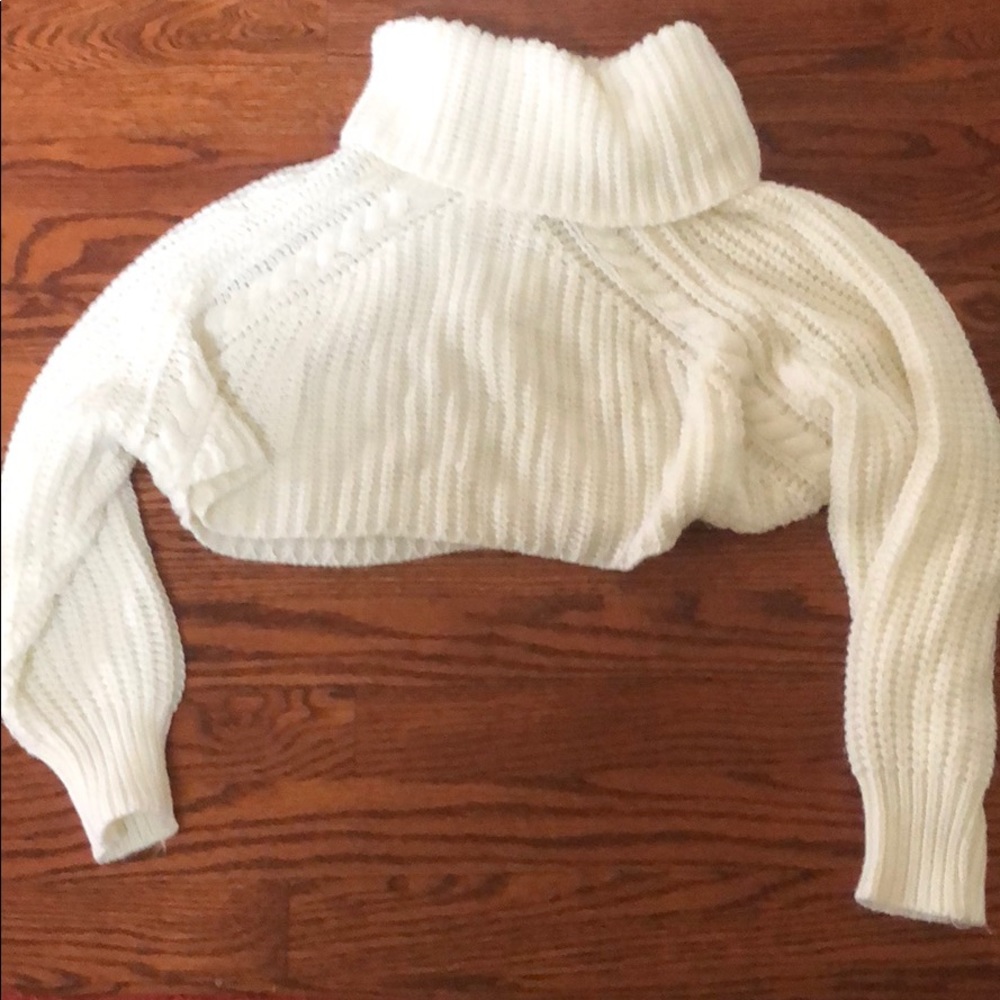 Cropped Fashion Nova Turtleneck sweater